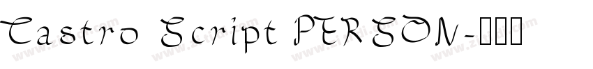 Castro Script PERSON字体转换